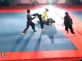 KUNG-FU fighter GIRL