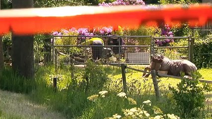 Koperdieven zorgen voor gaslek in Zevenhuizen - RTV Noord