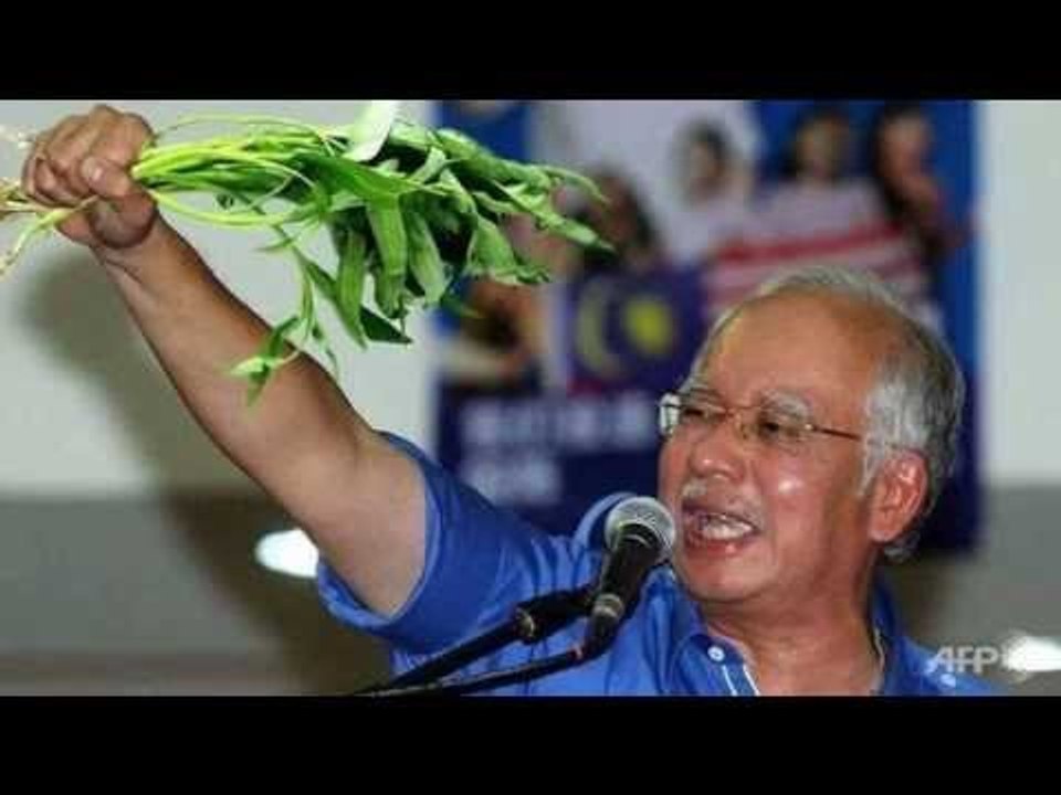 Najib Dan Kangkung