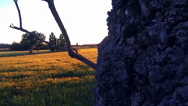 Kumanova - Protesto Shqip