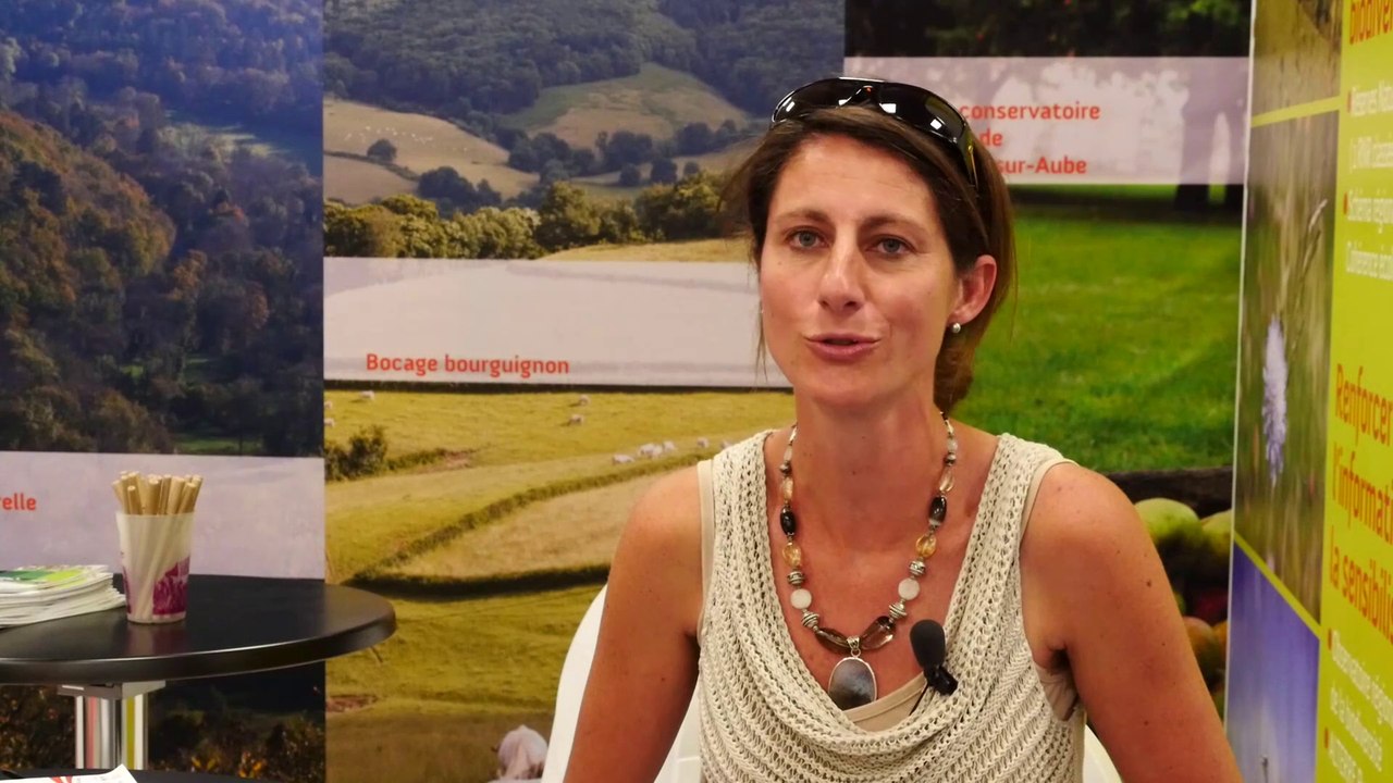 Vous avez dit "biodiversité à Dijon" ?