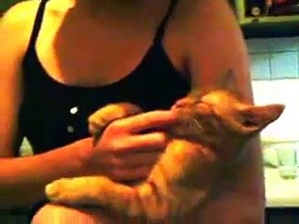 My kitten suckling on my finger