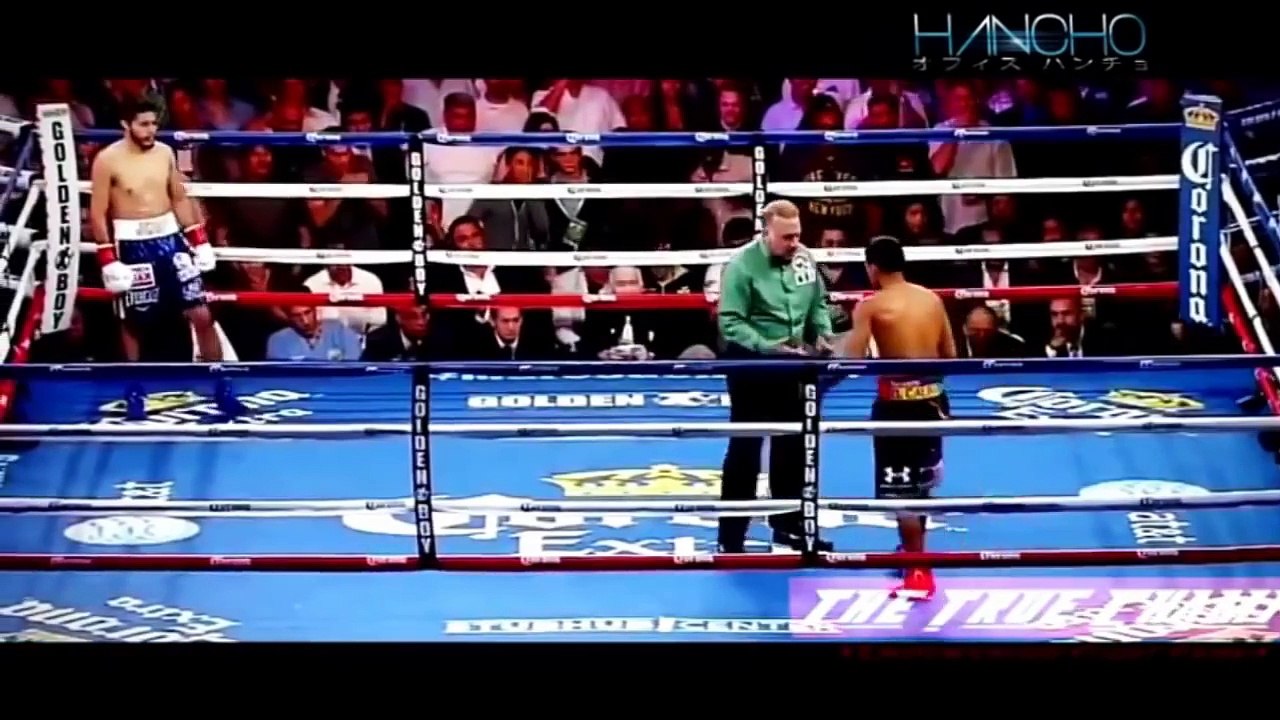 Top 20 Best Knockouts of 2015 HD