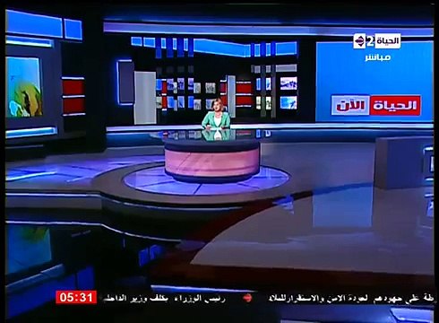 السجن المشدد 15 سنة على الضابط المتهم بقتل شيماء الصباغ