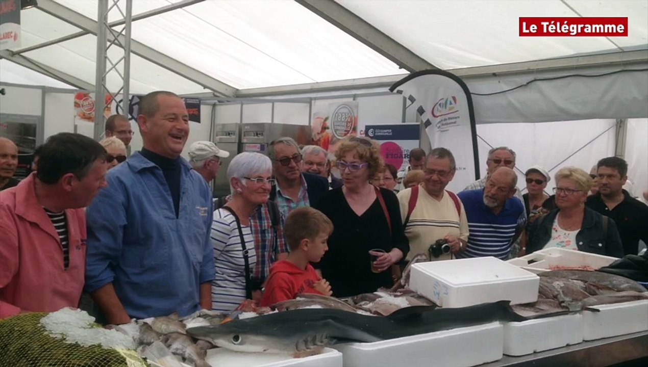 Concarneau. De la criée à l'ancienne en attendant les bateaux de la Figaro