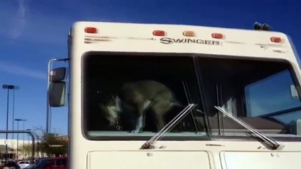 Вотэто ЗАПАДЛЯКА!!!