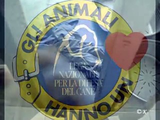 Fai la sorpresa di Pasqua, regala un cane. Adottalo! Lega del cane sez Mi.