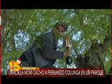 Fernando Colunga niega entrevista