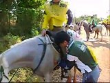Enduro Equestre (Endurance)