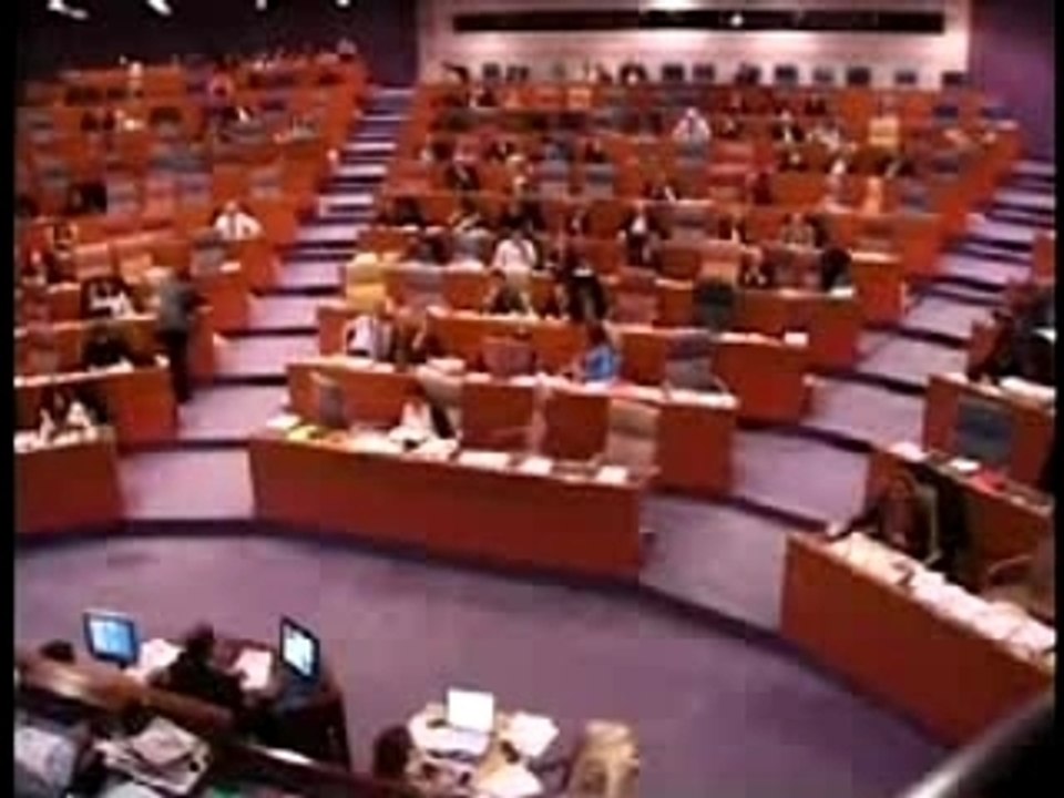 Les amendements delinquants du FN