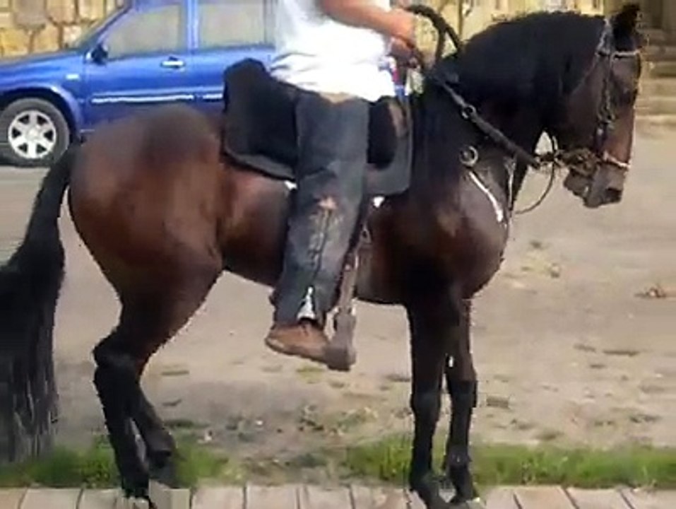 sunami  hijo de  dulces sueños de lusitania