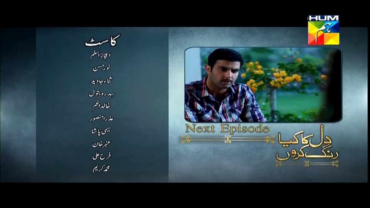 Dil Ka Kya Rung Karun Episode 16 Promo  on Hum Tv - 12th June 2015