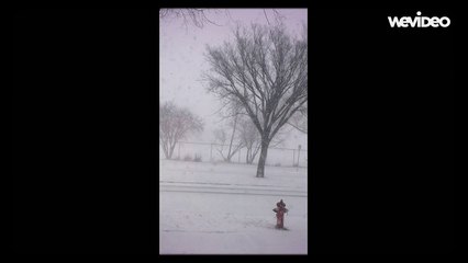 668879534210000000000000000000 (1)