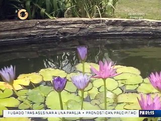 Combinar naturaleza con turismo podría ser una fórmula para reactivar la economía