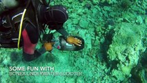 Diving and snorkeling Egypt Soma Bay 2014 720p