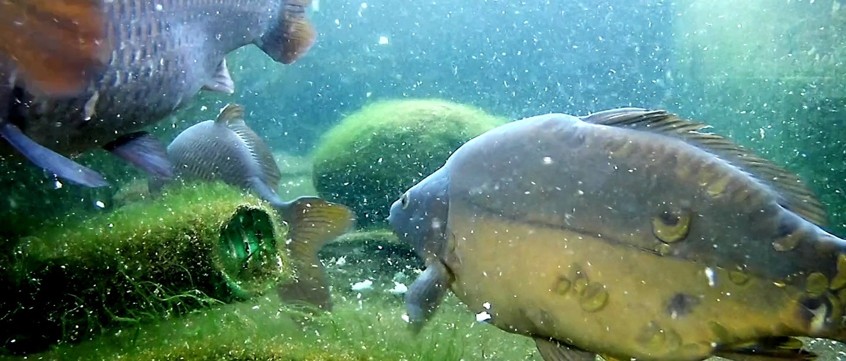 Συντριβάνι Κεντρική Πλατεία Μεγάρχης