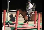 Maddy - Hunter/Jumper Horse For Sale at Tile Valley Farm
