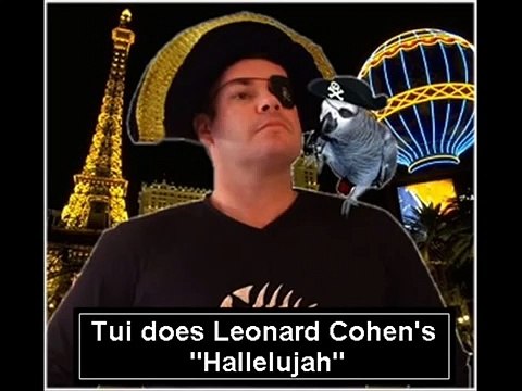 Tui the African Grey Parrot sings Leonard Cohen Hallelujah song