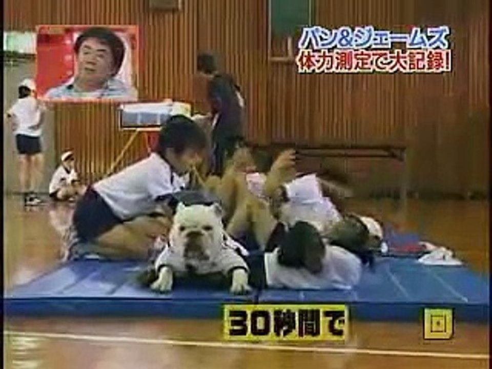 ลิง กับ หมา ฮา.avi