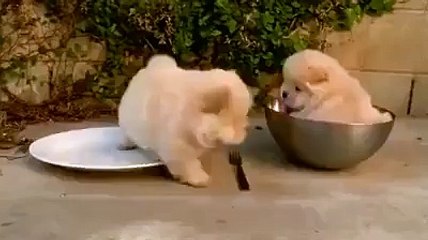 Bowls can be so tricky?syndication=228326