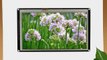 SainSmart TFT LCD Display for Arduino (7)