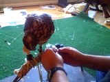 Playing with Goshawks