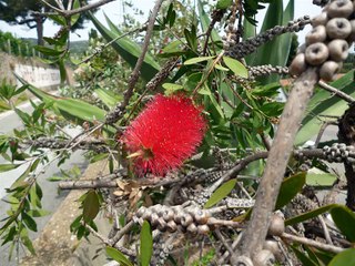 sur les traces du roc d azur