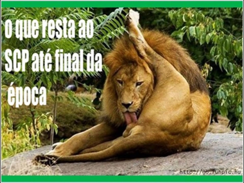 Piadas Sporting 2.wmv