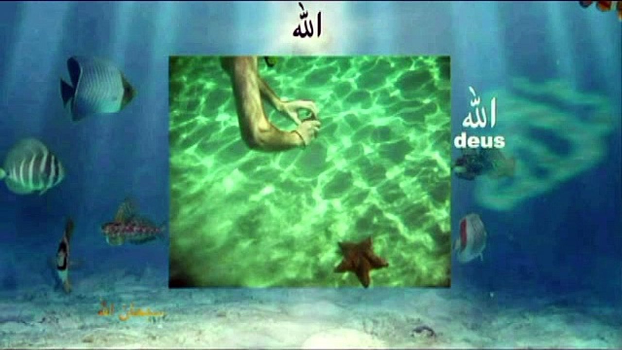 miracle d'Allah dans l'univers معجزة الله في الكون