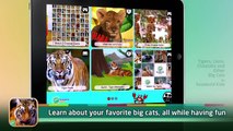 Tigers, Lions, Cheetahs and Other Big Cats App - SeaWorld Kids™