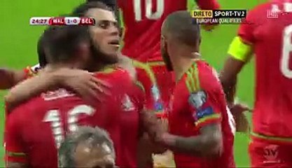 All Goals and Highlights _ Wales 1-0 Belgium 12.06.2015