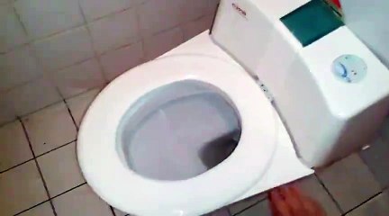 Amazing Self Cleaning Toilet Seat.