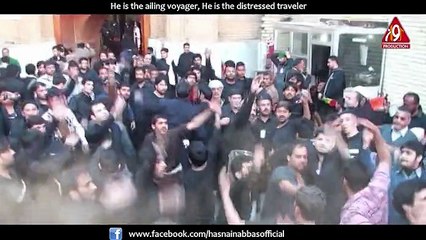 Beemar Musafir Hai - Hasnain Abbas Nauha 2014