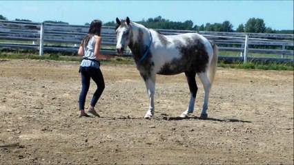 Together~ our first live performance