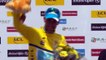 Nibali surges into lead in France