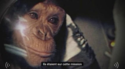 L'incroyable histoire du chimpanzé astronaute