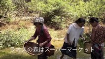 NPO法人 地球の木　ラオスプログラム紹介CM
