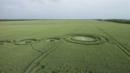 Mysterious Crop Circles in Russia’s Adygea Seen from the Sky