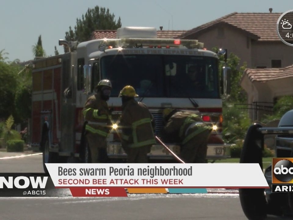 Bees swarm Peoria neighborhood