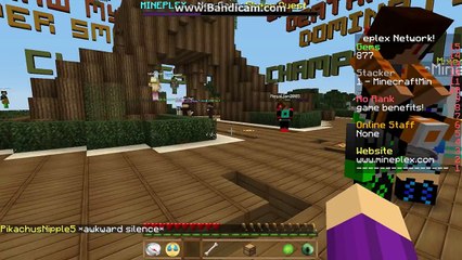 Minecraft: Dragon Escape Shortcuts: Skylands