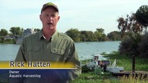 Port of Stockton: Water Hyacinth Removal