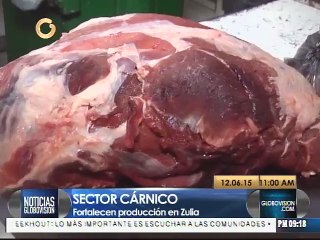 Gobierno del Zulia garantiza abastecimiento de carne en la región