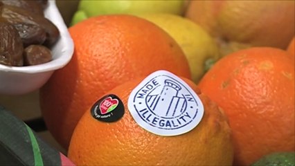 شركة نرويجية تسحب استثماراتها بسبب أنشطة استيطانية بالضفة الغربية