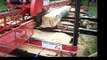 Mobile Dimension Sawmill Sawing 9X7 Oak Ties