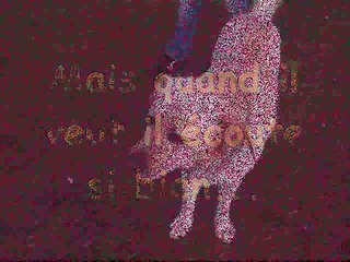 Vicking, petit chien au grand coeur...