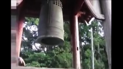 japanese ghost video compilation 31。日本灵异录影汇集31