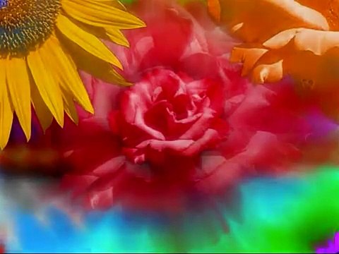 Cumar Yare Hay Gabin 2010 with lyrics Somali hees Faysal Cum