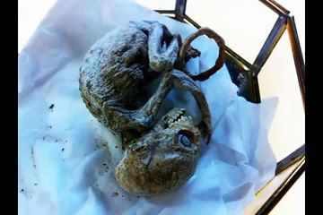 Alien Baby Farm found on Mexico