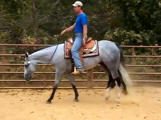 AQHA Futurity winner