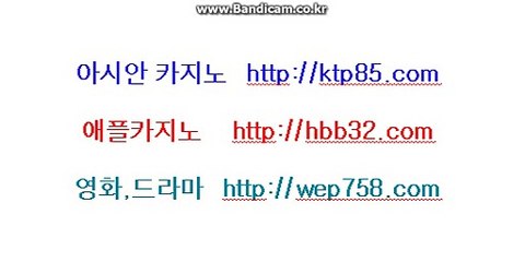 애플카지노